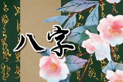 玄奥八字_滴天髓八字算命_天乙八字排盘_八卦周易算命术_专业排盘八字